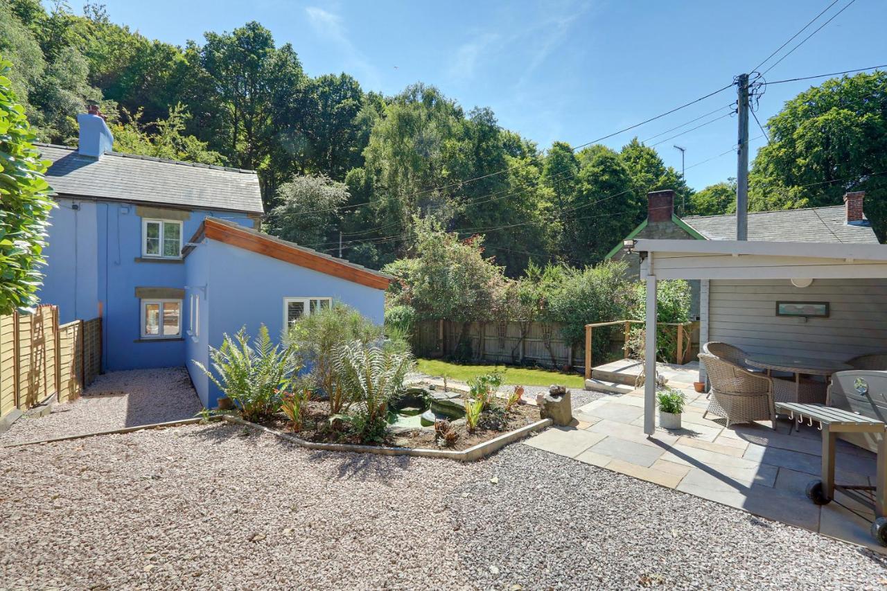 Badger Cottage Parkend Εξωτερικό φωτογραφία